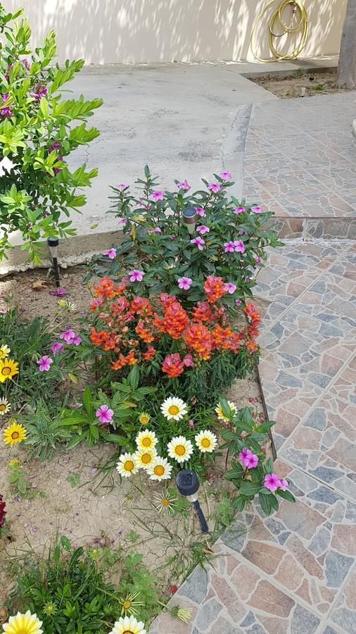 Lazaros Pissouri Apartments エクステリア 写真