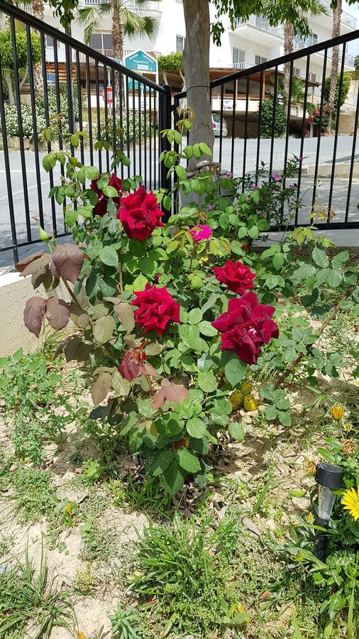 Lazaros Pissouri Apartments エクステリア 写真